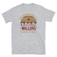 Thumbnail for T-shirt Wallons Endroits gris sportif - Fierté et humour local