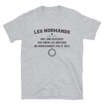 Normands descente - T-shirt Standard - Ici & Là - T-shirts & Souvenirs de chez toi