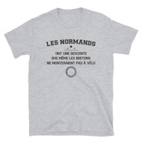 Thumbnail for T-shirt Normands descente gris sport face - texte humoristique sur les Normands