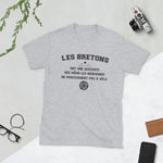 Breton descente - T-shirt Standard - Ici & Là - T-shirts & Souvenirs de chez toi