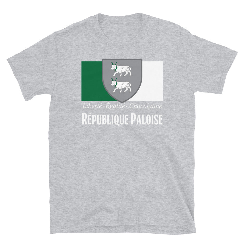 T-shirt Béarn gris sport - Confort et fierté locale