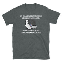 Thumbnail for T-shirt Picard gris foncé chiné - 10 heures sans marcher