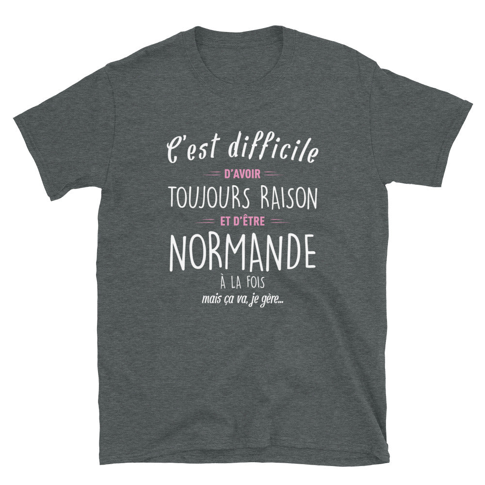 Avoir Raison Normande - T-shirt Boy friend Cut - Standard - Ici & Là - T-shirts & Souvenirs de chez toi