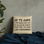 Tire toi Dans les Cévennes - Coussin décoratif et humoristique sur les Cévennes - Ici & Là - T-shirts & Souvenirs de chez toi