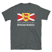 Thumbnail for T-shirt Béarn gris foncé chiné dos - Drapeau de l'union gasconne