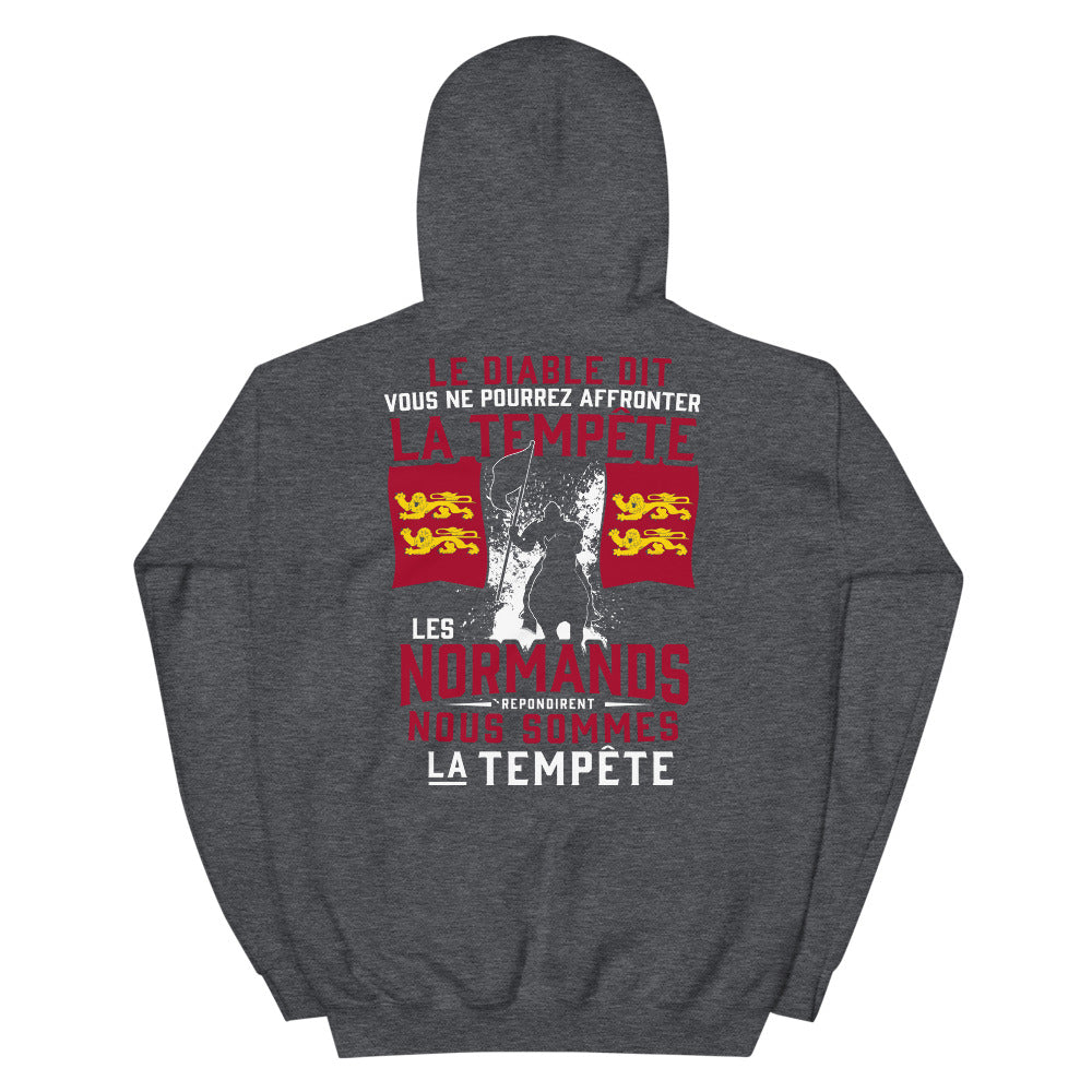 Sweatshirt Normand bleu marine - Tempête Diable avec humour
