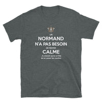 Thumbnail for T-shirt Normand gris foncé chiné - Un normand n'a pas besoin de rester calme