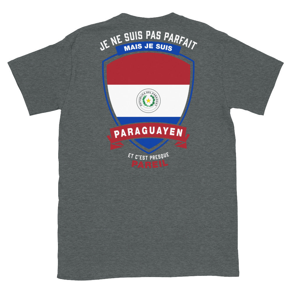 T-shirt Paraguay gris foncé - Je ne suis pas parfait mais.