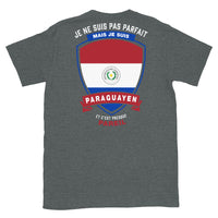 Thumbnail for T-shirt Paraguay gris foncé - Je ne suis pas parfait mais.