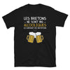 T-shirt Bretagne noir - Les Bretons ne sont pas alcooliques