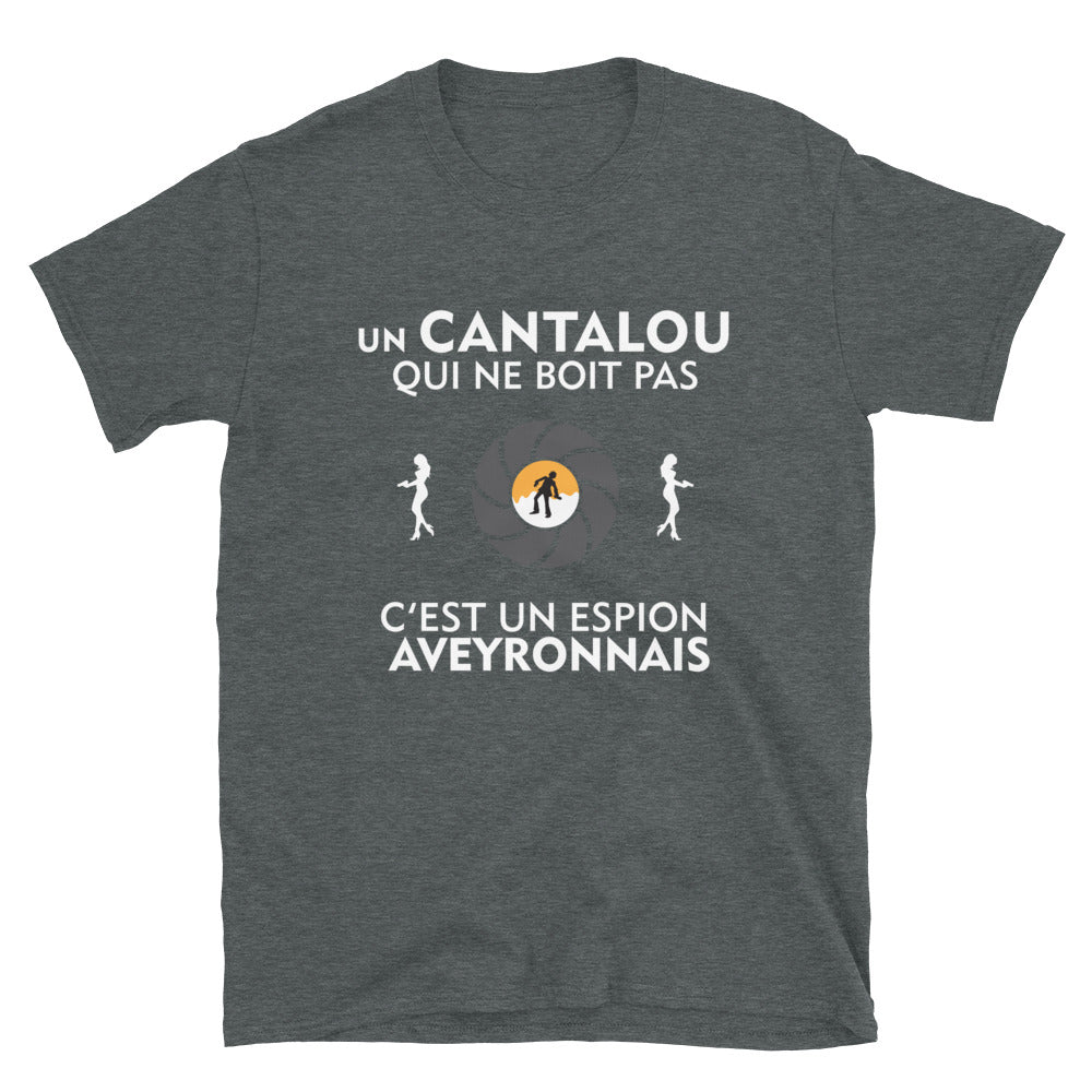 Espion Dans le cantal -  T-Shirt standard - Ici & Là - T-shirts & Souvenirs de chez toi