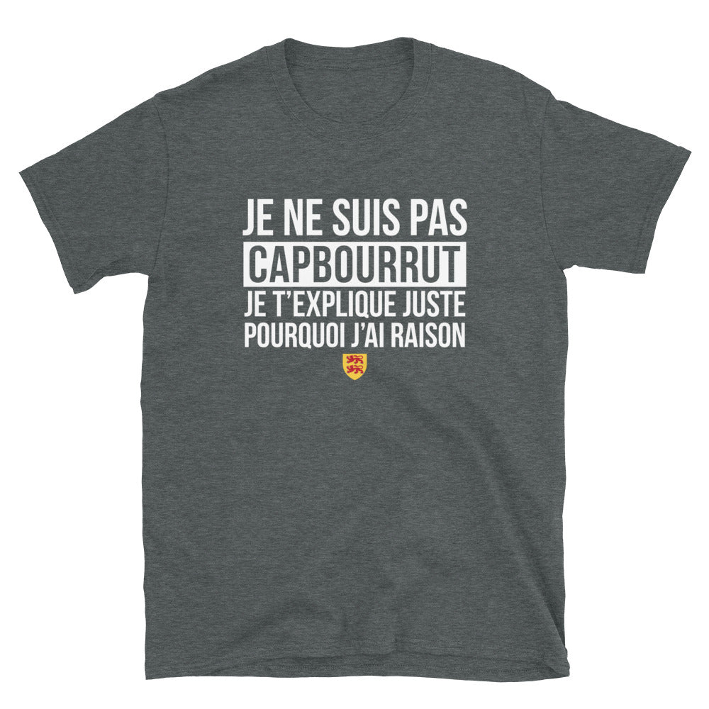 T-shirt Bigorre bleu marine dos - Je ne suis pas Capbourrut