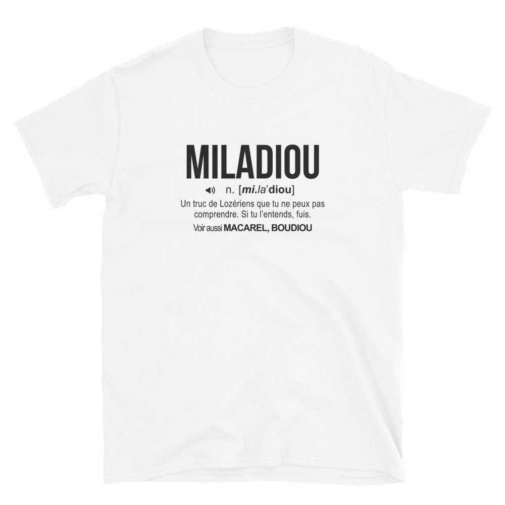 T-shirt Lozère gris sport dos - Définition Miladiou humoristique