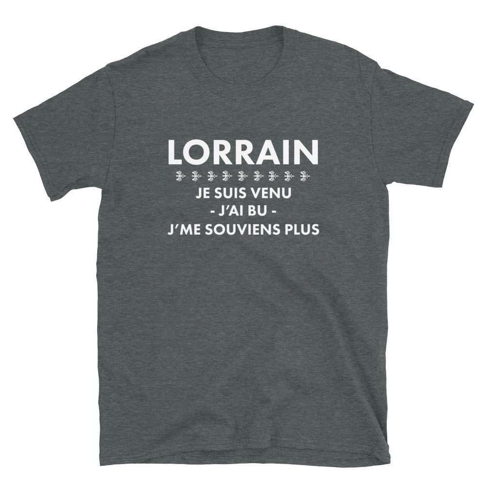 T-shirt Lorraine gris foncé chiné dos - Veni Vedi Pas Vici humoristique