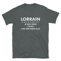 Thumbnail for T-shirt Lorraine gris foncé chiné dos - Veni Vedi Pas Vici humoristique