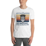 Deux types de Personnes : Les Bretons - T-shirt Standard - Ici & Là - T-shirts & Souvenirs de chez toi