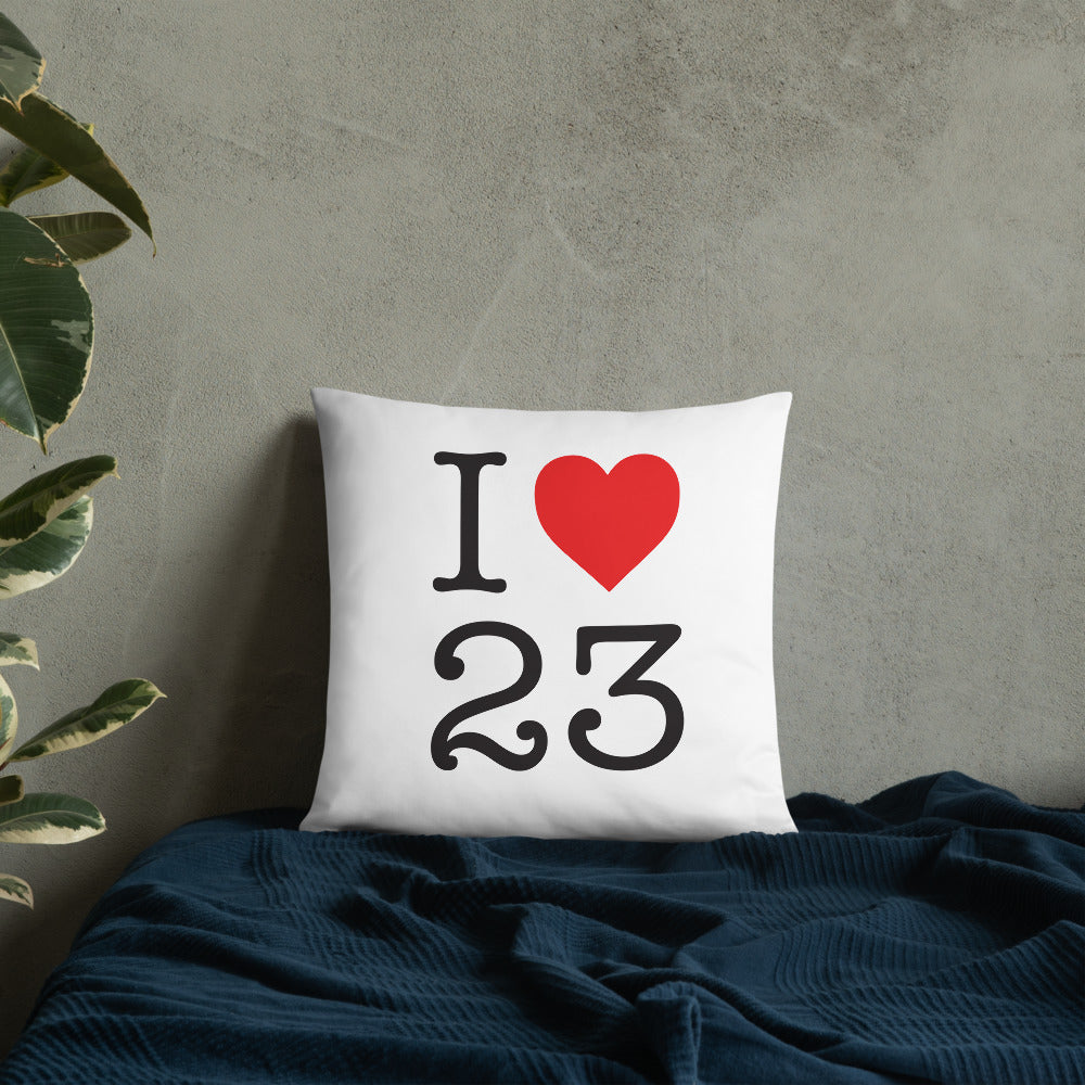 Coussin Creuse NY style - Accent humoristique et local