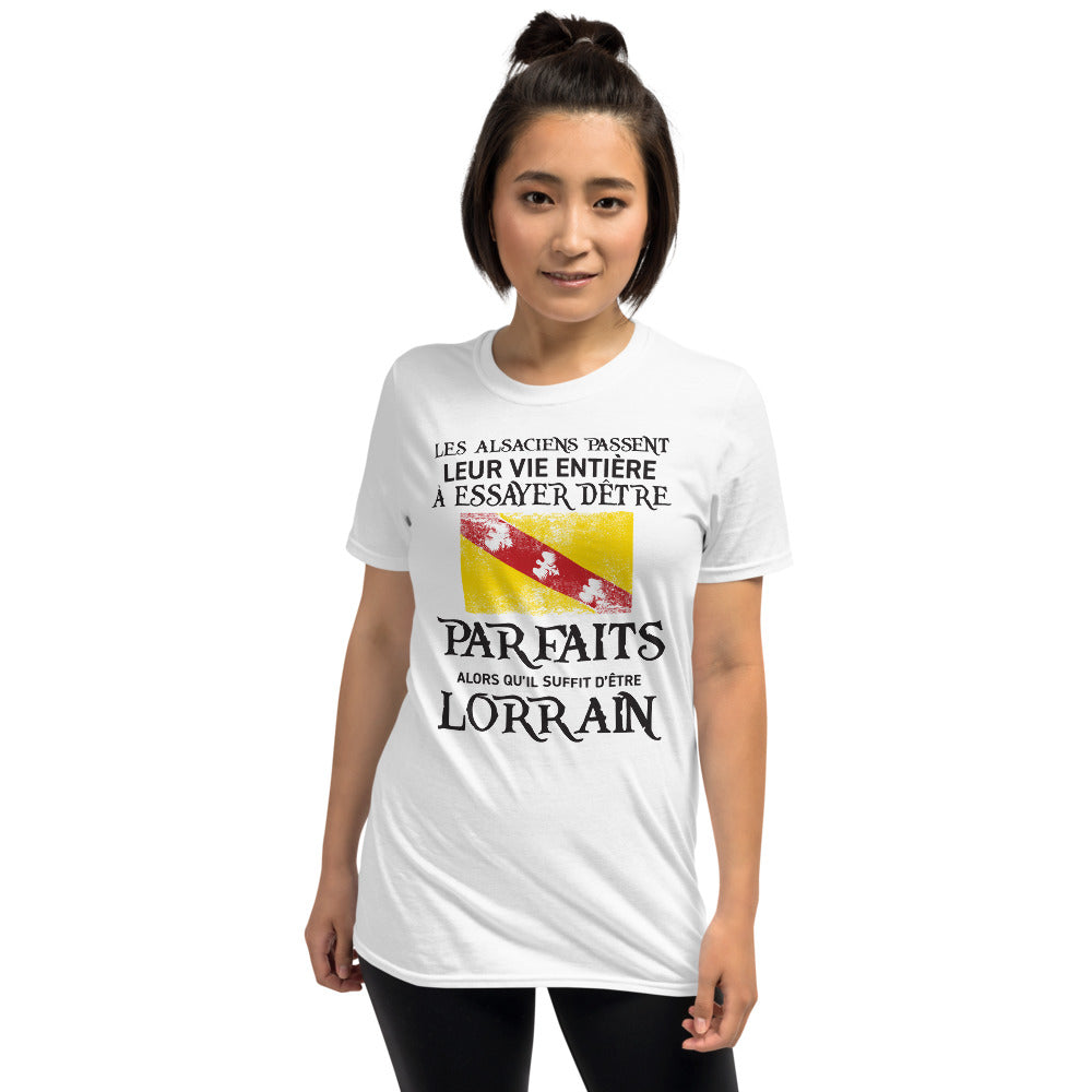 T-shirt Lorrain Parfait gris sport - Les Alsaciens et leur vie entière
