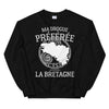 Sweatshirt Bretagne noir - Fierté locale et confort chaleureux