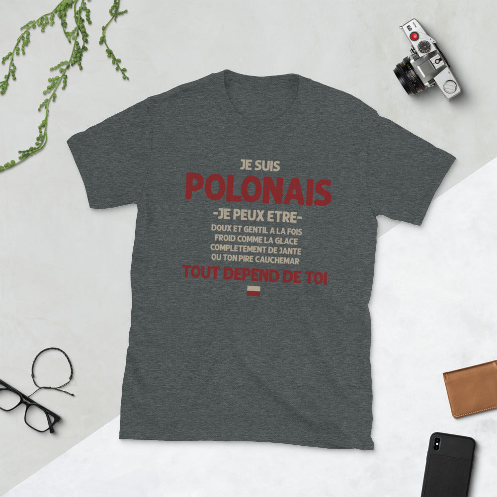 T-shirt Pologne bleu marine - Polonais ça dépend de toi