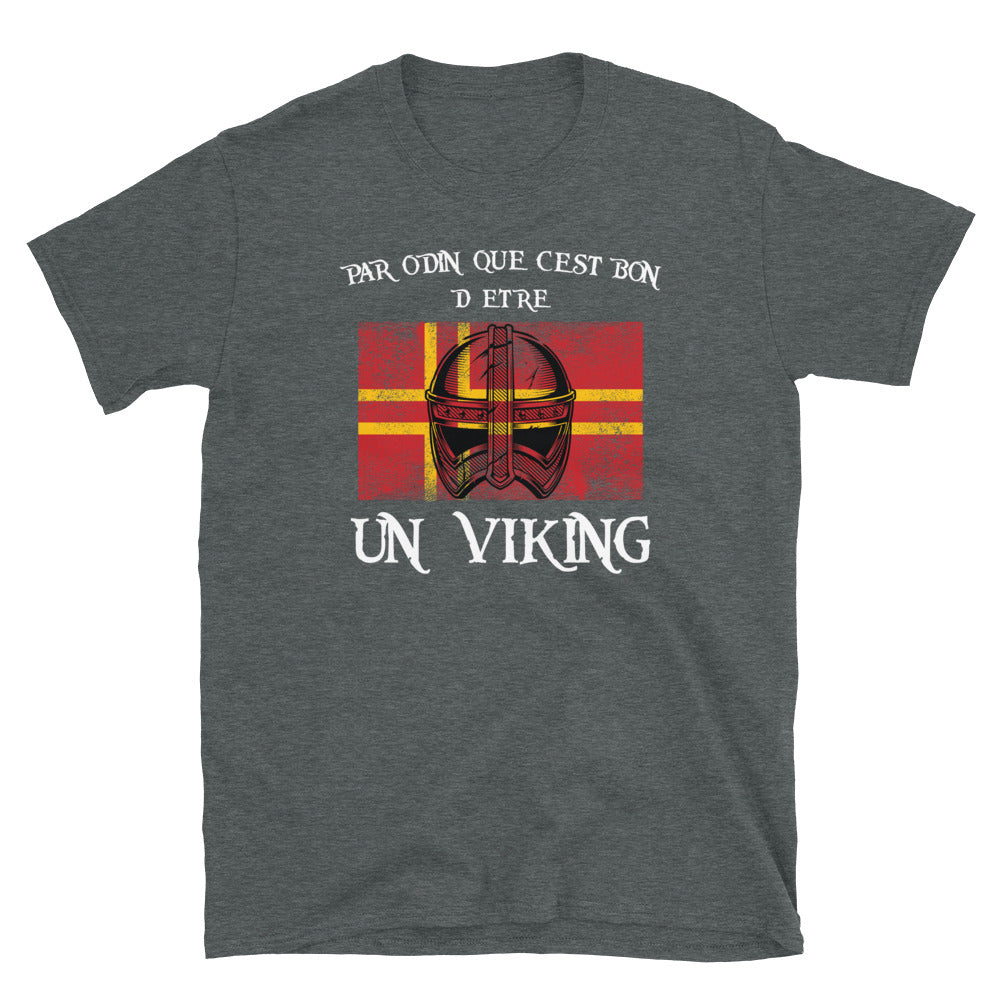 T-shirt Normandie gris sport - Que c'est bon d'être un Viking