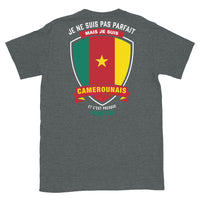 Thumbnail for T-shirt Camerounais bleu marine - Je ne suis pas parfait mais.