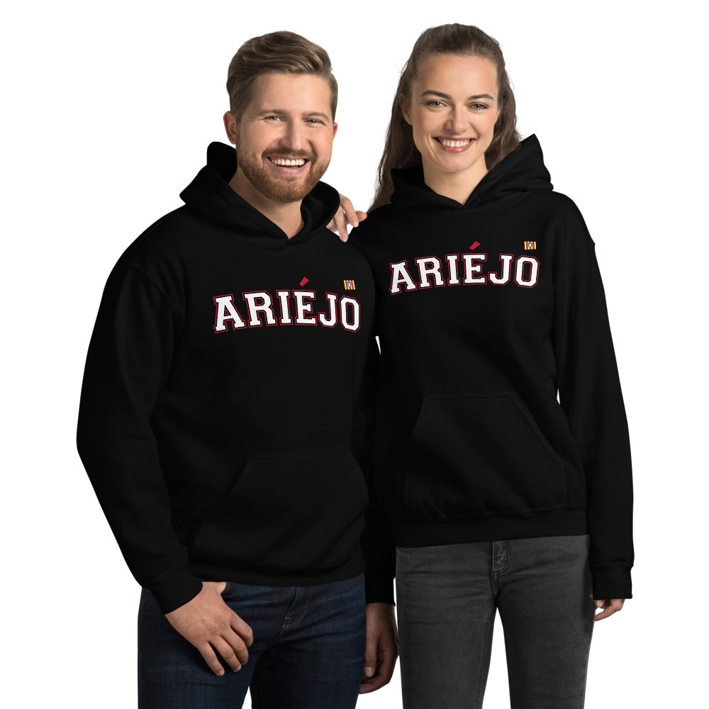 Ariéjo - Ariège - sweatshirt à capuche blason ariégeois - Ici & Là - T-shirts & Souvenirs de chez toi