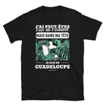 J'ai peut-être l'air de t'écouter mais dans ma tête je suis en Guadeloupe - T-shirt Standard - Ici & Là - T-shirts & Souvenirs de chez toi