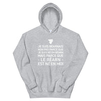 Thumbnail for Sweatshirt Béarn gris sport - Le Béarn né en moi