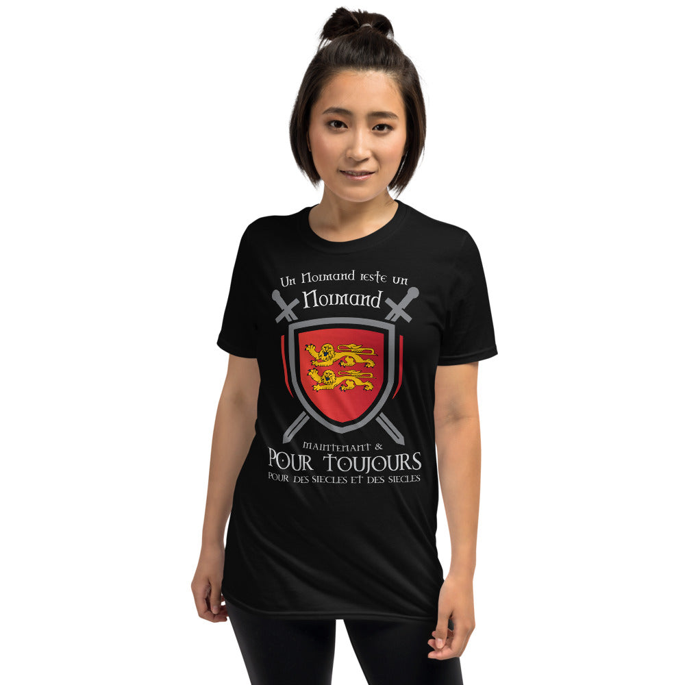 T-shirt Normand bleu marine - Blason et glaives du drapeau