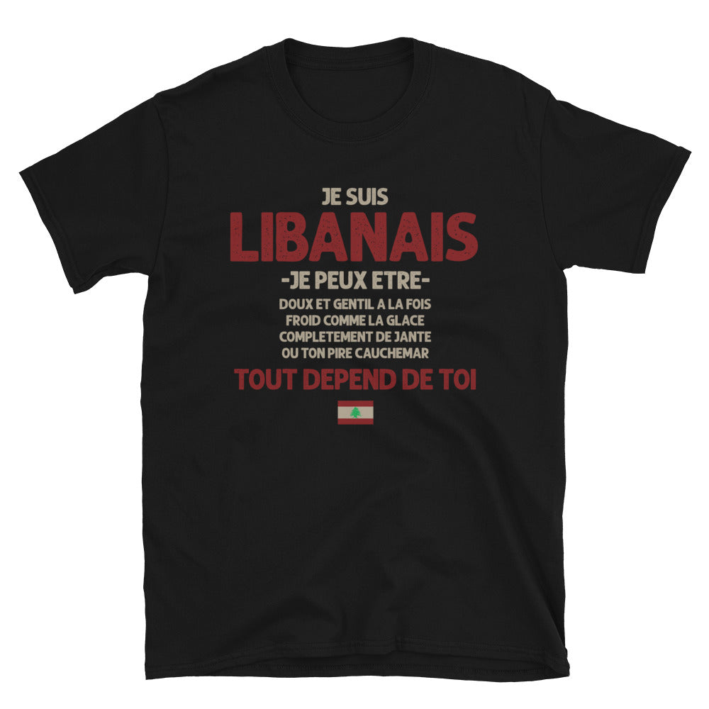 T-shirt Libanais bleu marine dos - Ça dépend de toi