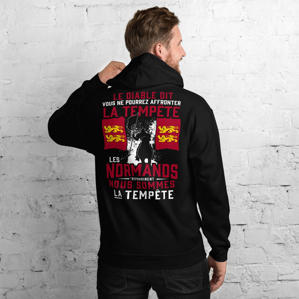 Sweatshirt Normand gris foncé dos - Tempête Diable avec humour