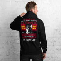 Thumbnail for Sweatshirt Normand gris foncé dos - Tempête Diable avec humour