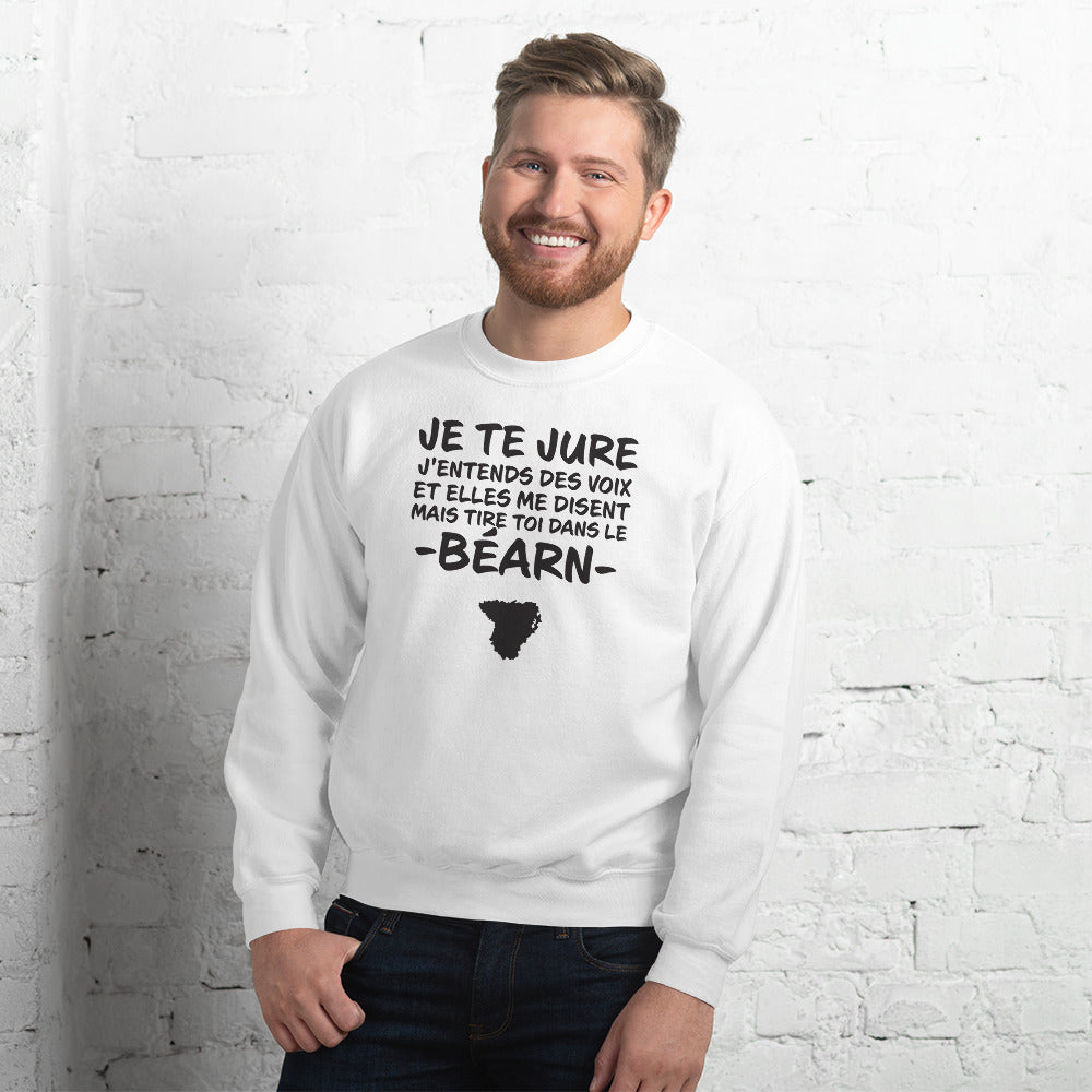Sweatshirt Béarn gris sport - Je te jure avec humour