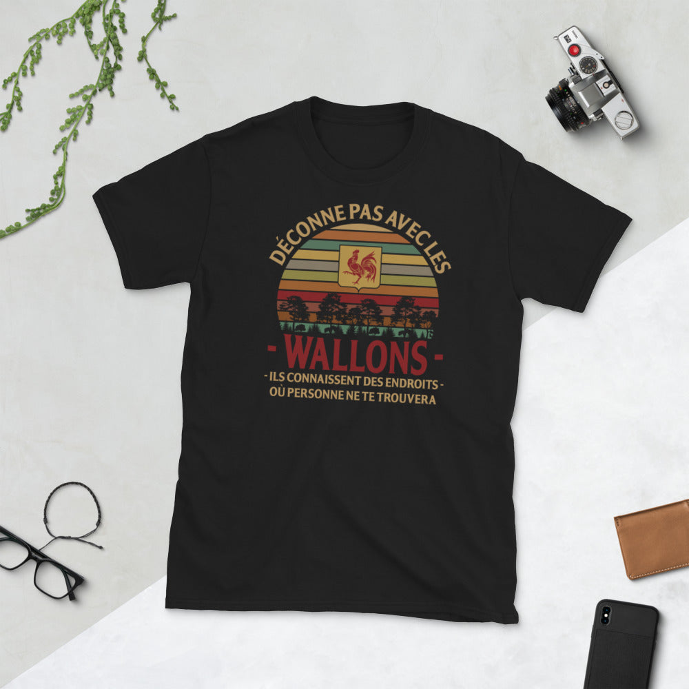 T-shirt Wallons Endroits bleu marine dos - Fierté et humour local