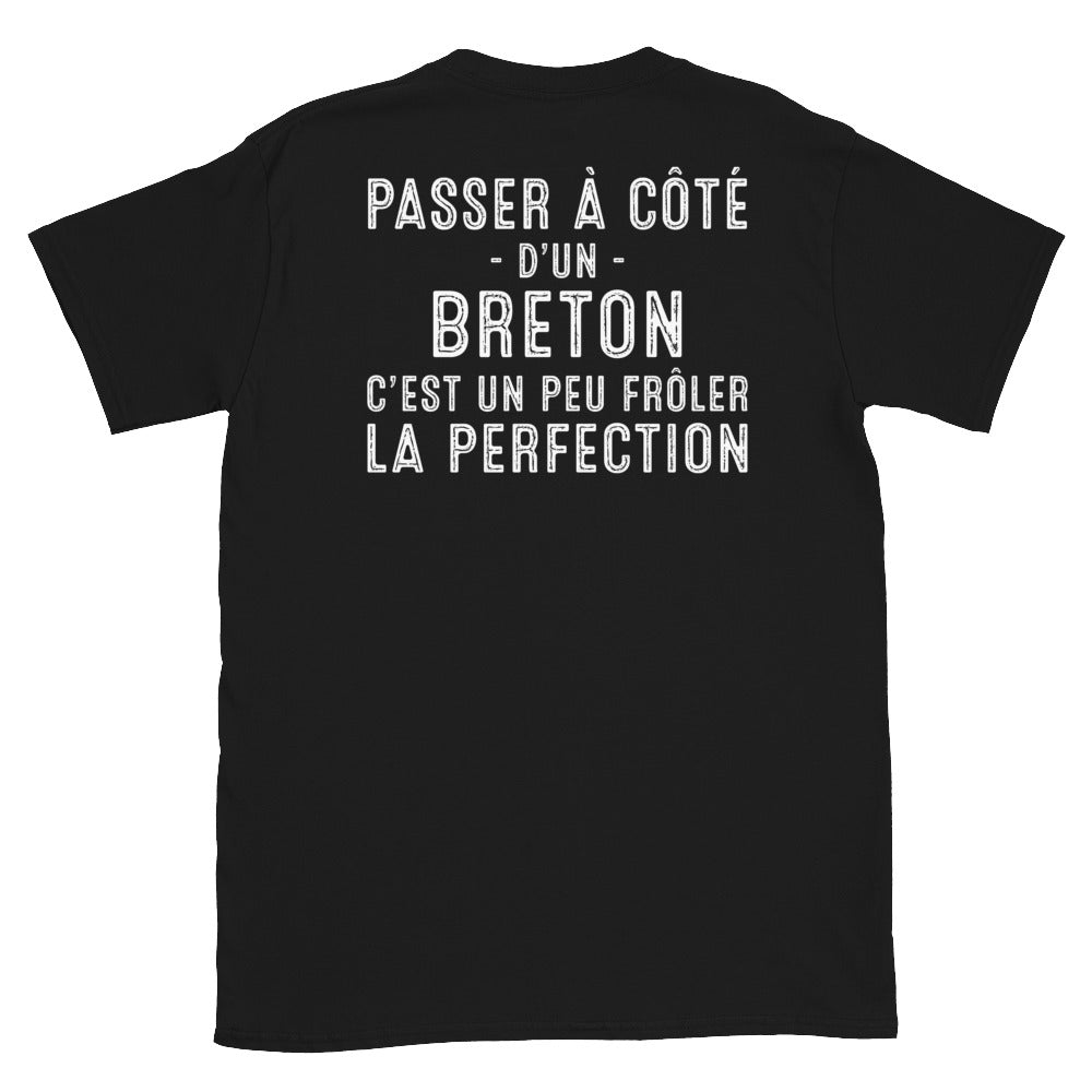 Breton frôler la perfection - T-shirt Standard - Ici & Là - T-shirts & Souvenirs de chez toi