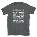 Bretons, il n'y a qu'une seule race - T-shirt Standard - Ici & Là - T-shirts & Souvenirs de chez toi