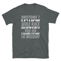 Thumbnail for Bretons, il n'y a qu'une seule race - T-shirt Standard - Ici & Là - T-shirts & Souvenirs de chez toi