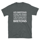 Les bretons n'ont pas vendu leur âme au diable - T-shirt Standard - Ici & Là - T-shirts & Souvenirs de chez toi