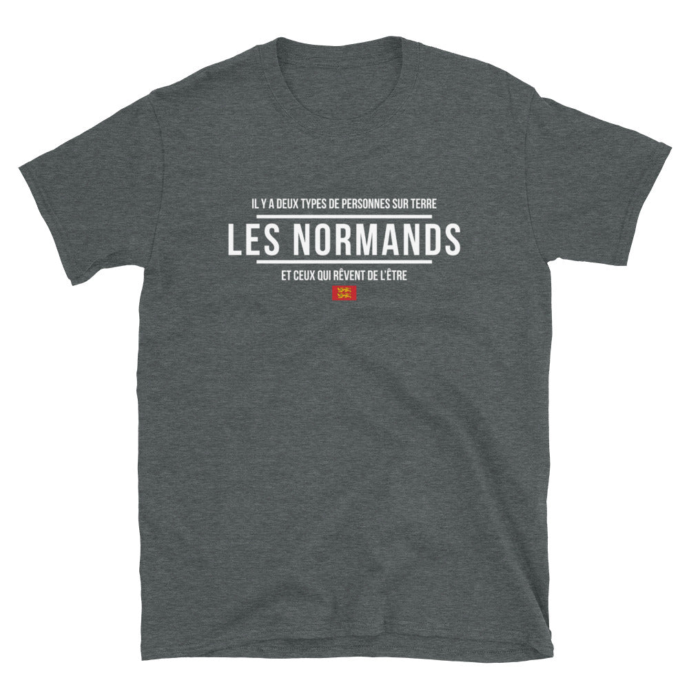 T-shirt Normands gris foncé dos - Deux types de personnes