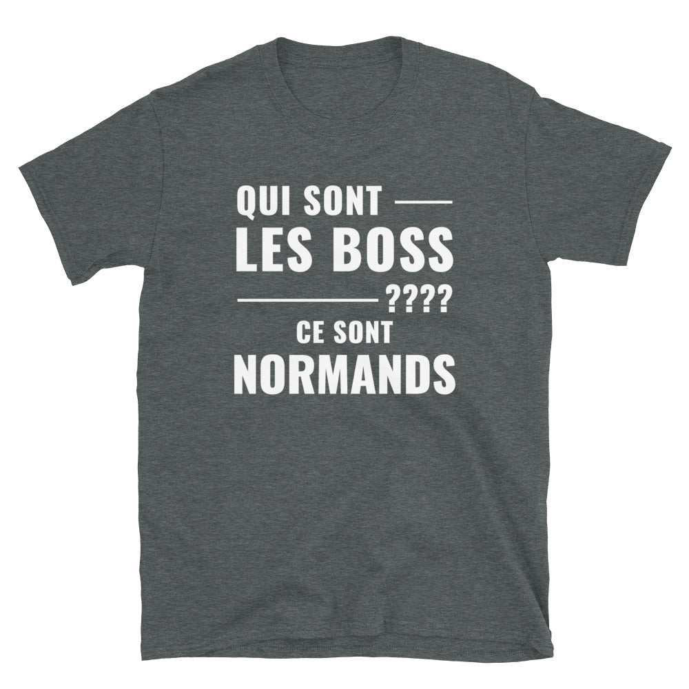 T-shirt Normand noir dos - Les Boss, version grammaticale