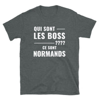 Thumbnail for T-shirt Normand noir dos - Les Boss, version grammaticale