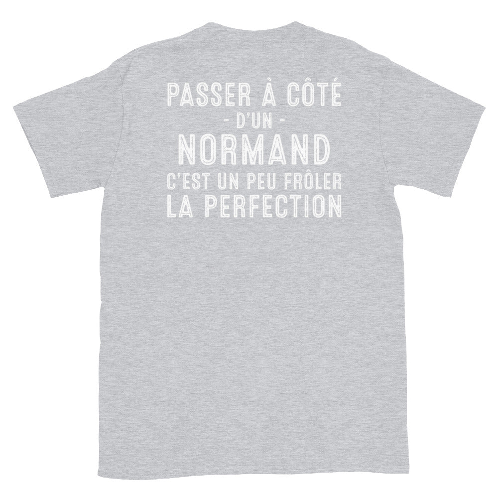 T-shirt Normand gris sport - Frôler la perfection avec humour