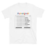 Les Auvergnats sont des Dieux - parodie Gogole - T-shirt Standard - Ici & Là - T-shirts & Souvenirs de chez toi