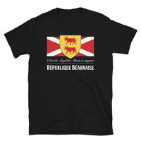 Thumbnail for T-shirt Béarn noir - Drapeau de l'union gasconne