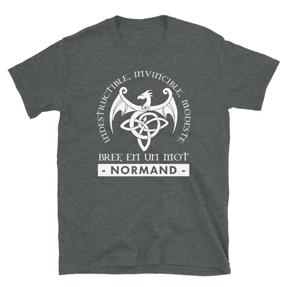 T-shirt Normand noir dos - Indestructible et fier de l'origine