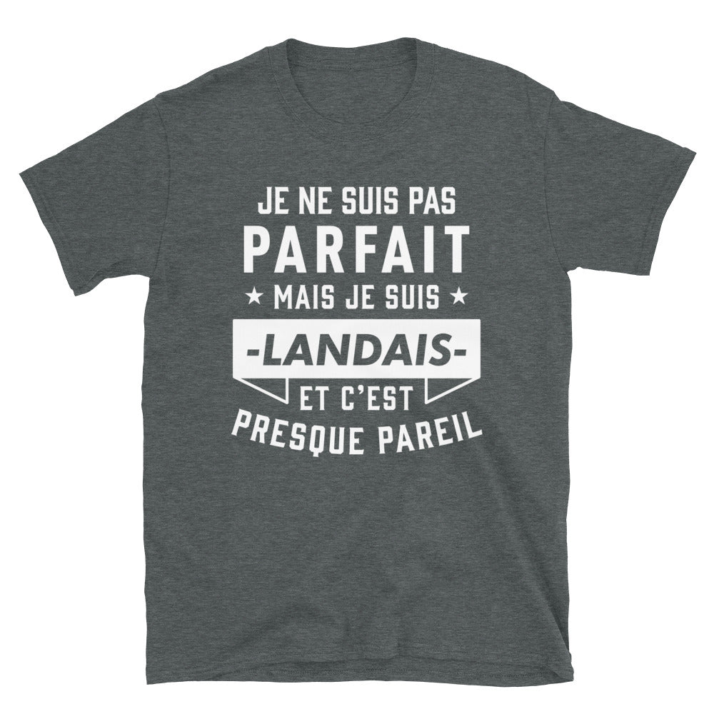 T-shirt Landais bleu marine - Fierté et humour du Sud-Ouest