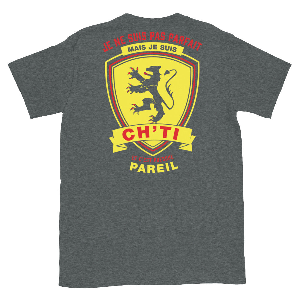 T-shirt Nord-Pas-de-Calais bleu marine - Je ne suis pas parfait mais