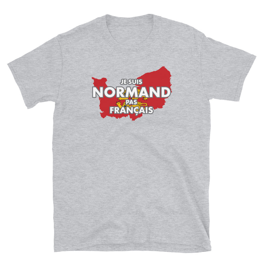 T-shirt Normand gris foncé chiné dos - Normand pas Français avec humour
