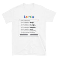 Thumbnail for T-shirt Lorraine gris sport - Les Lorrains sont des Dieux
